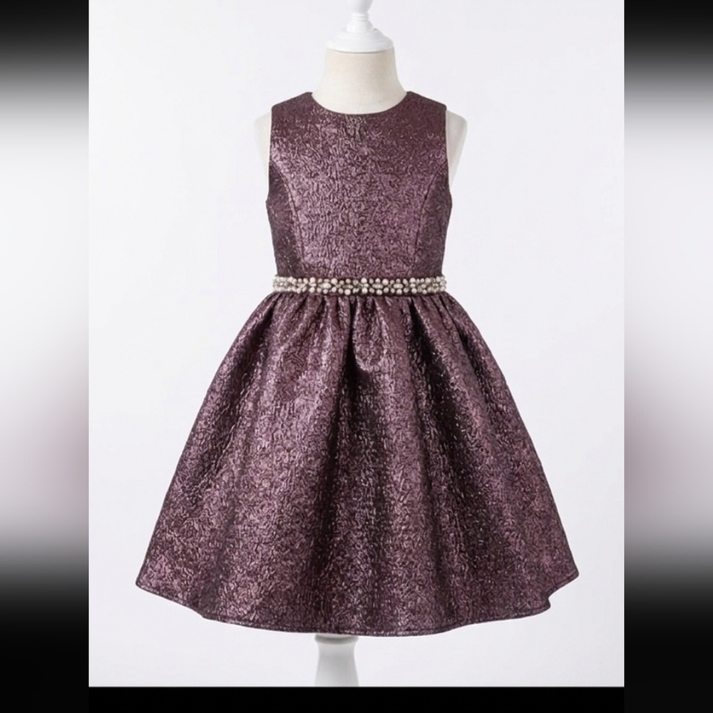 Elegant Purple Kids Dress